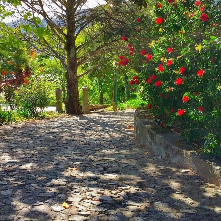 Quinta Da Ermida - Turismo De Habitacao Bed & Breakfast Baiao Ngoại thất bức ảnh